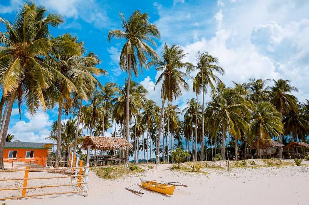 Imagem de Moçambique